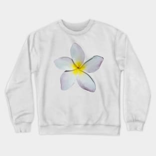 Plumeria Blossom Crewneck Sweatshirt